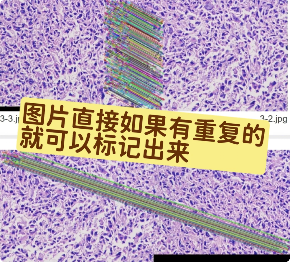 论文图片重复比文字抄袭更致命？ImageTwin图片查重，PubPeer都在用的工具到底怎么样